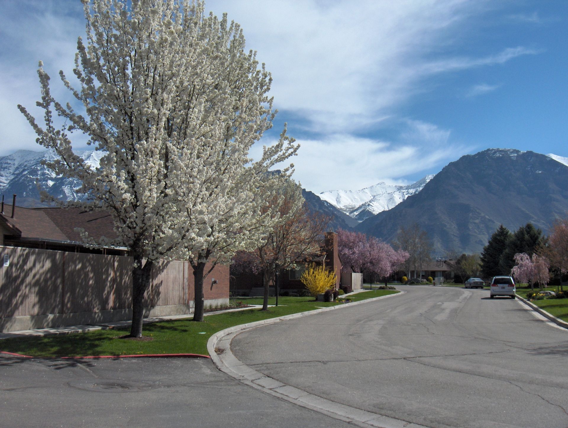 Community View